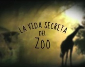 La vida secreta del zoo
