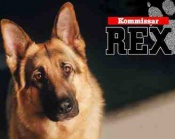Rex, un policía diferente